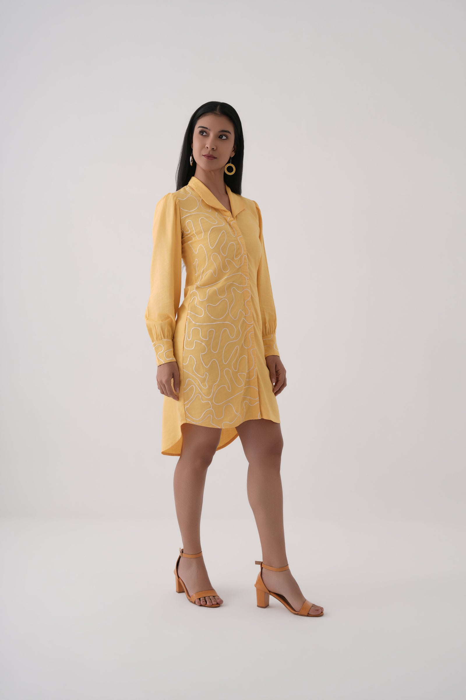 Embroidered Shirt Dress
