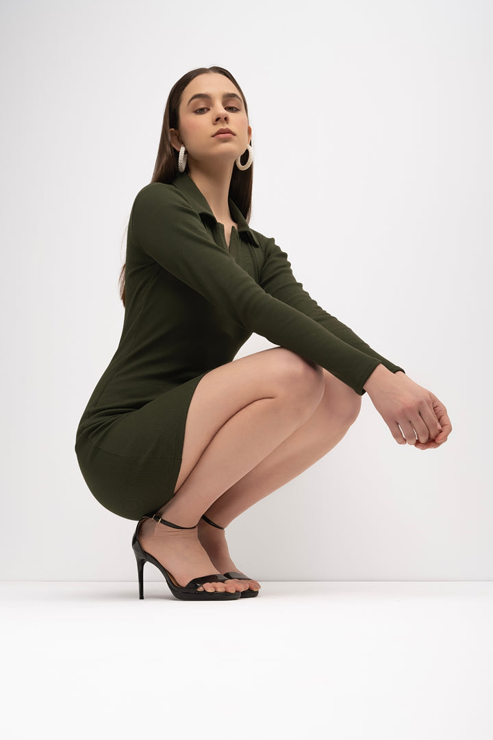 Bodycon Long Sleeve Dress