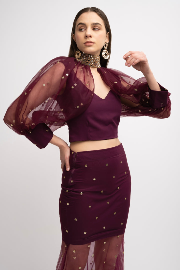 Indo Western Netted Set