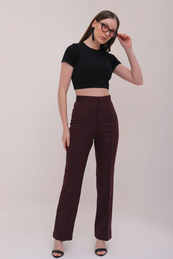 Pleated High Waist Trousers - Brown