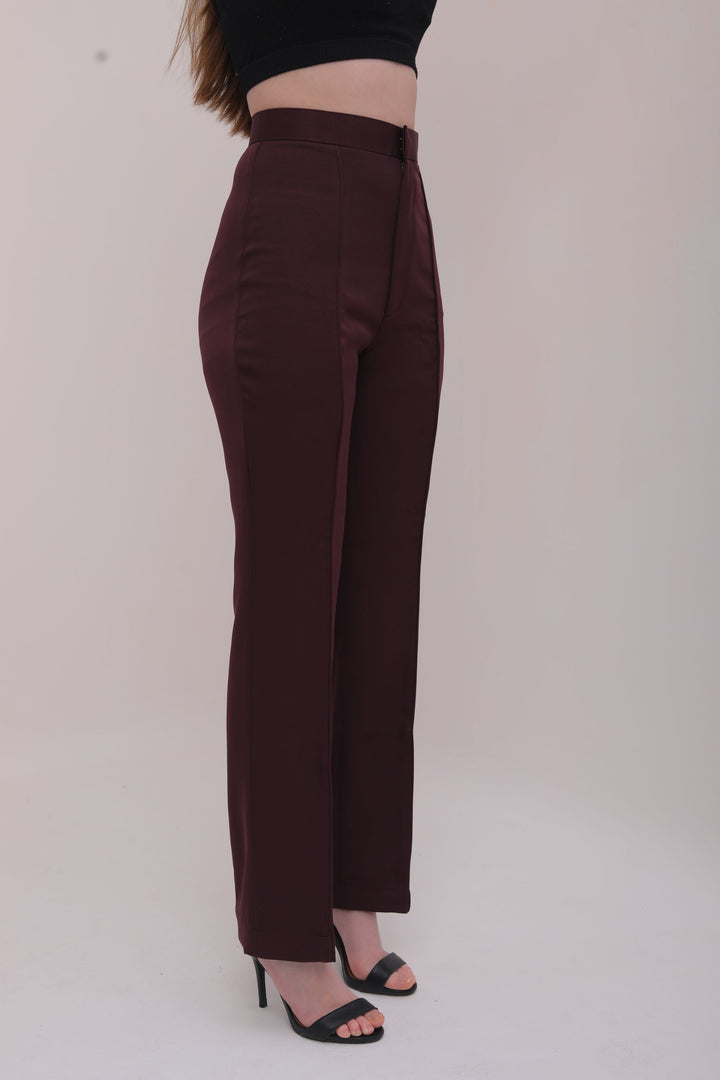 Pleated High Waist Trousers - Brown