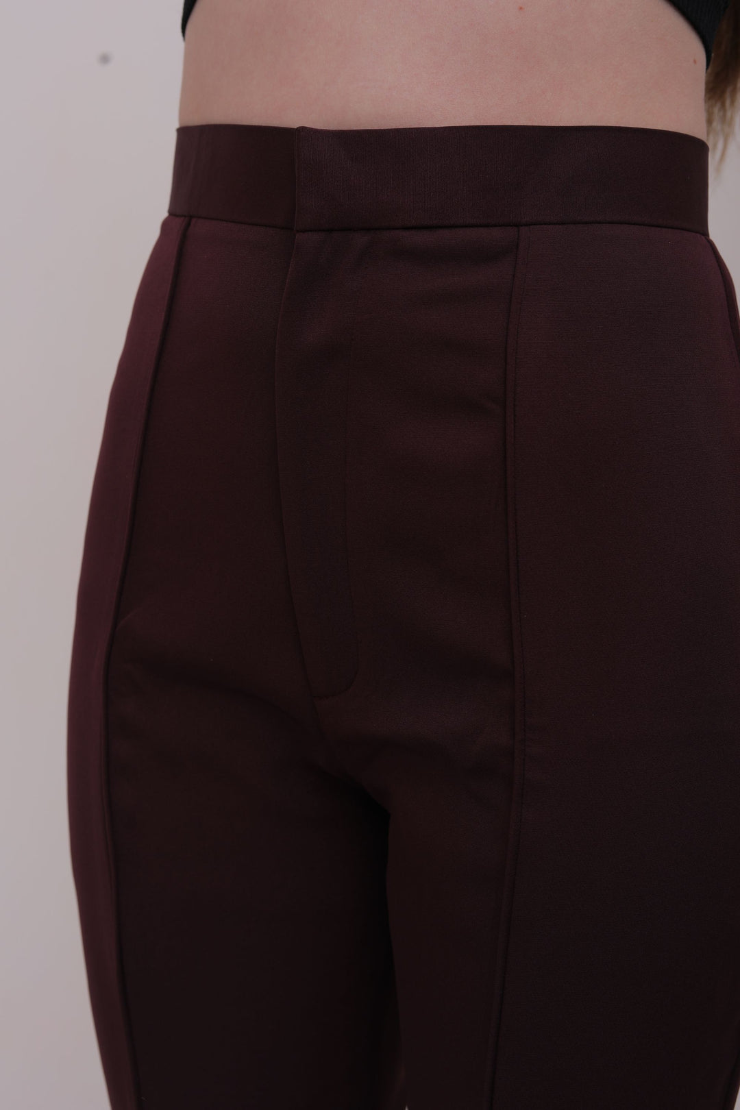 Pleated High Waist Trousers - Brown