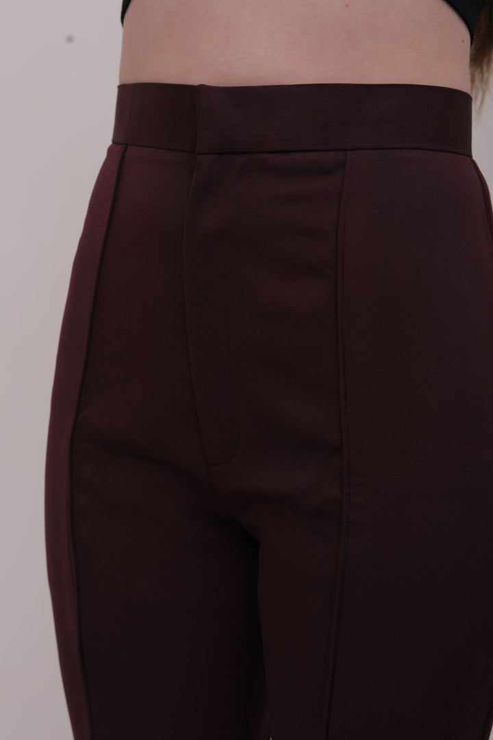 Pleated High Waist Trousers - Brown