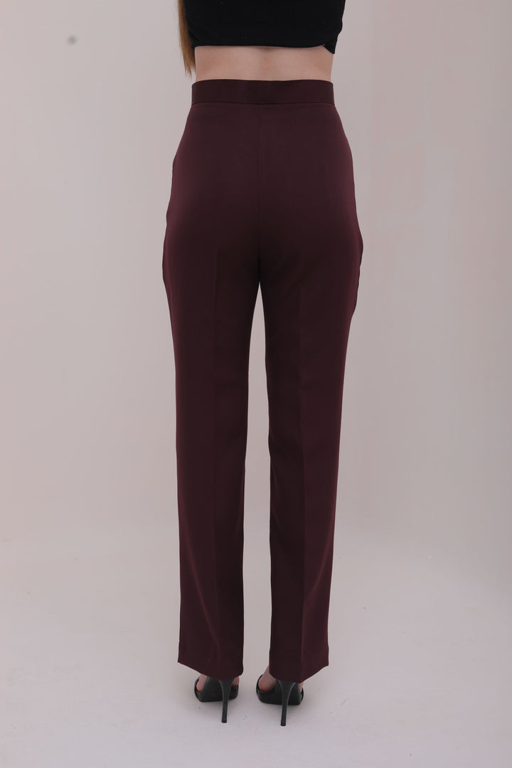 Pleated High Waist Trousers - Brown