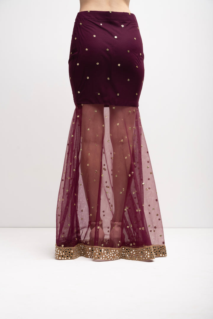 Indo Western Netted Set