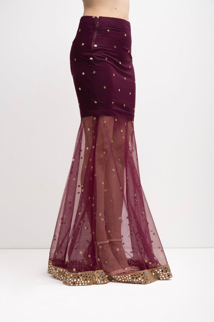 Indo Western Netted Set