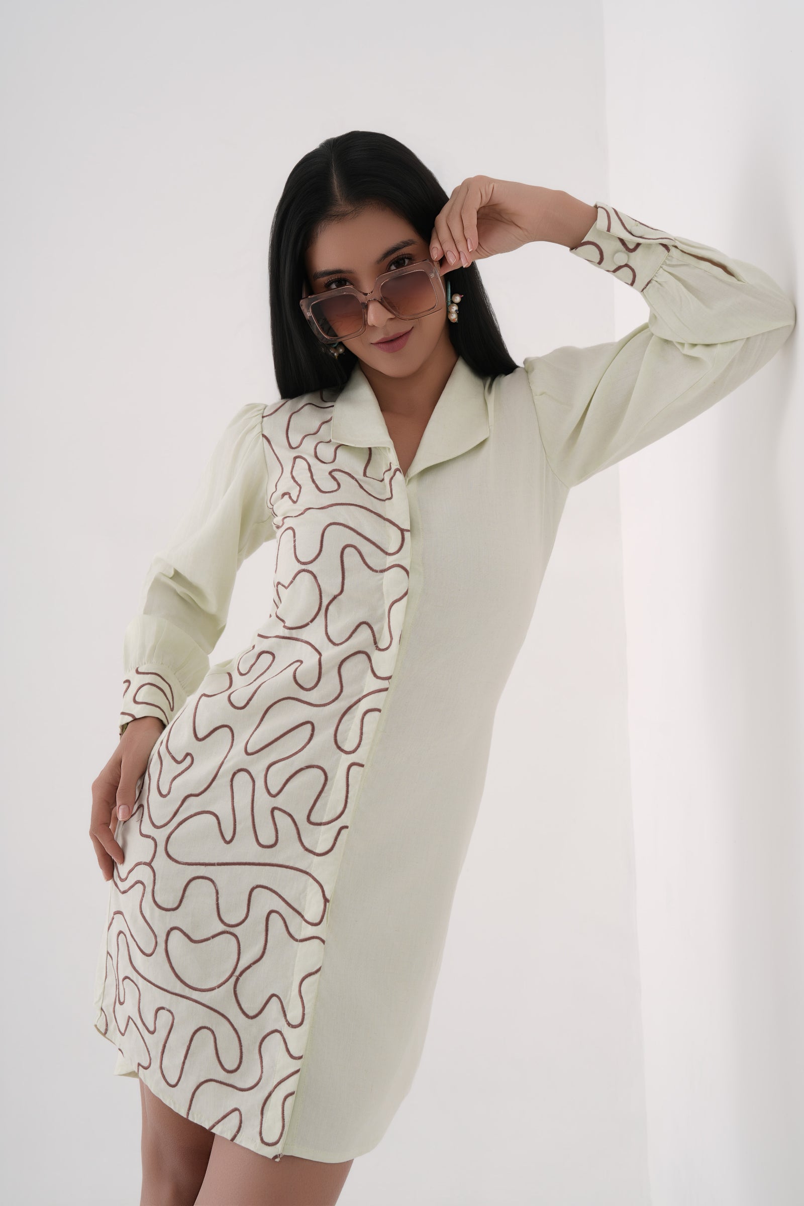 Embroidered Shirt Dress